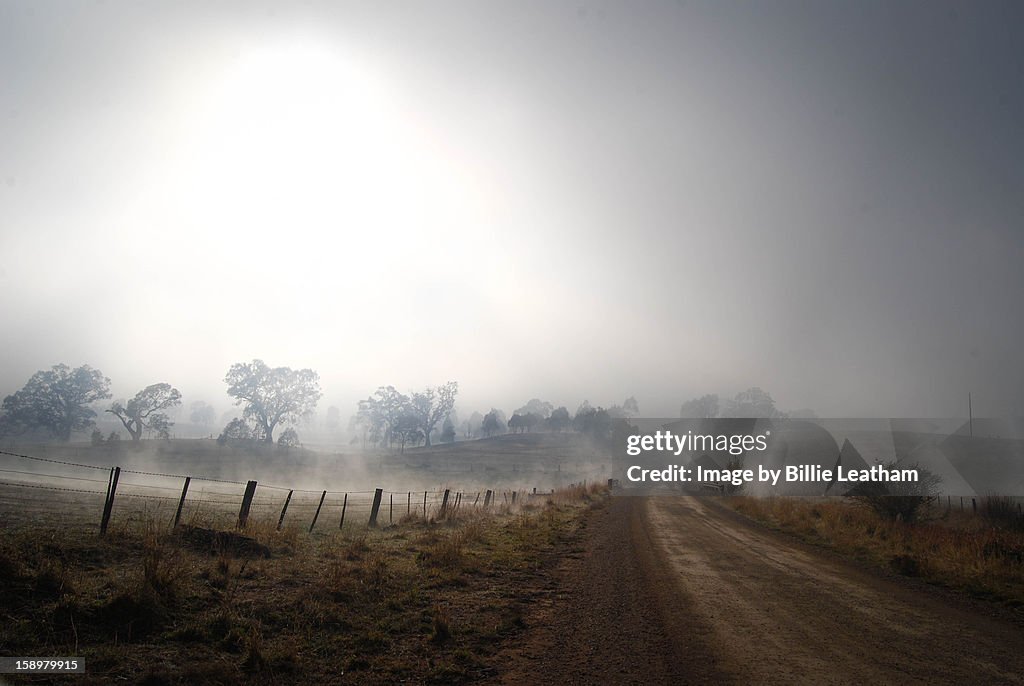Foggy morning on Long Lane, Mansfield Victoria
