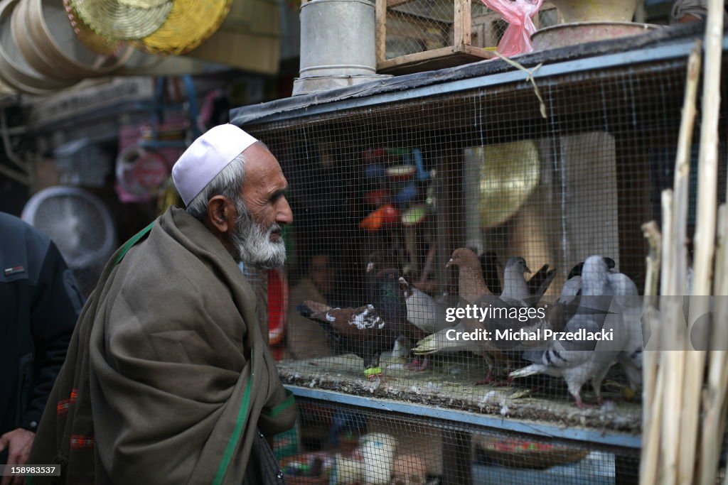 Ka Farushi, Kabul's birds market