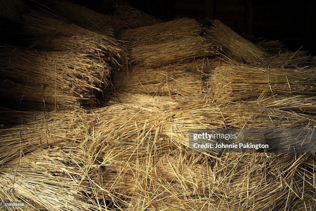 Hay in Old English Barn