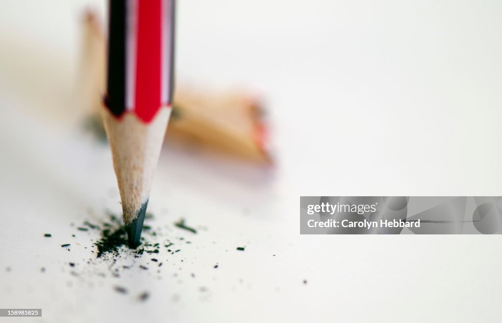 Pencil with Lead Shavings