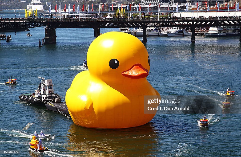 Giant Rubber Duck Sails Into Sydney Harbour