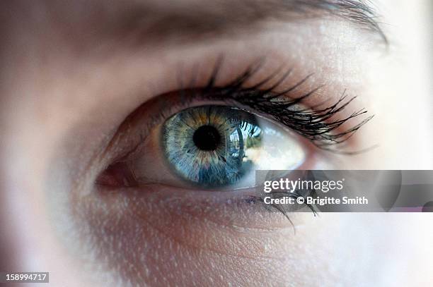 window to the world - human eye stock pictures, royalty-free photos & images