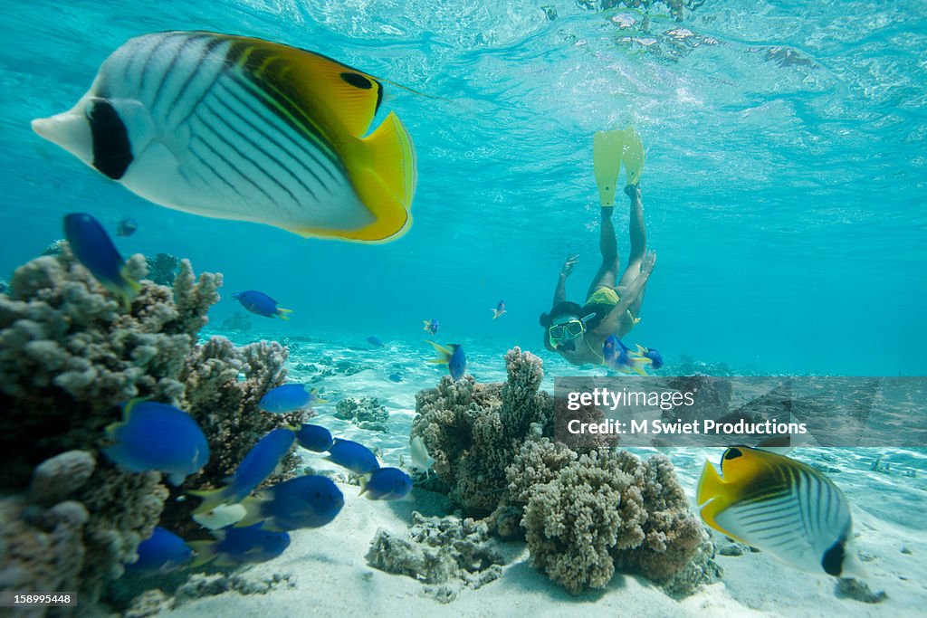 Snorkeling swimming