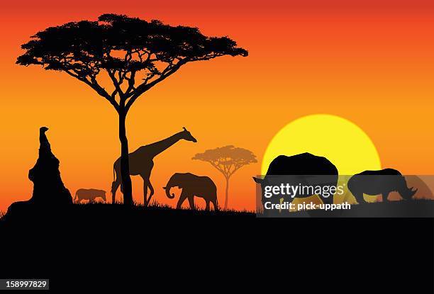 85点の象 夕日イラスト素材 Getty Images 85点の象 夕日イラスト素材 Getty Images