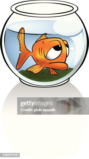 Sad Fish Sad Fish