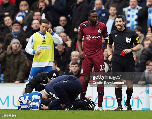 Referee Lee Probert gave Newcastle United Captain Shola Ameobi a red card during the FA Cup with Budweiser Third Round match between Brighton & Hove...