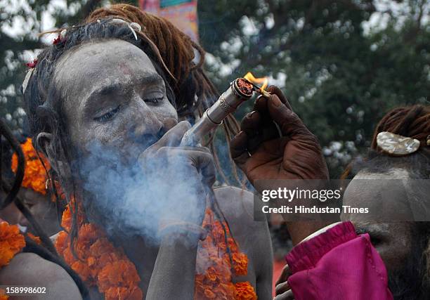 Ash smeared Naga sadhu smoking marijuana in the traditional ‘Chillum’ during Peshwai Juloos of Atal Akhada at the Sangam, confluence of the Rivers...