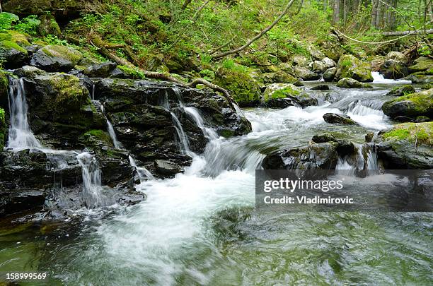 stream rocks - spring flowing water stock pictures, royalty-free photos & images