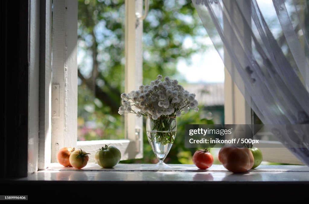Close-up of flowers and vase on table