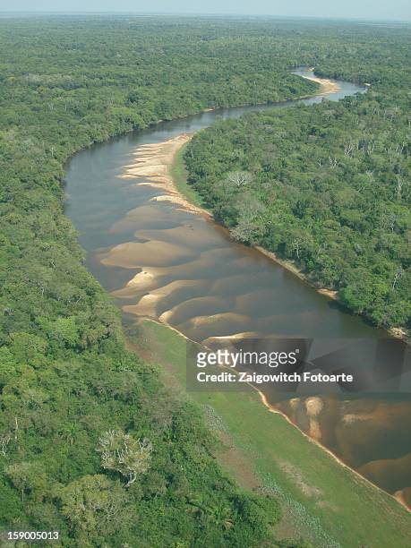 vista aérea pantanal, rio paraguai - vista aérea stock pictures, royalty-free photos & images
