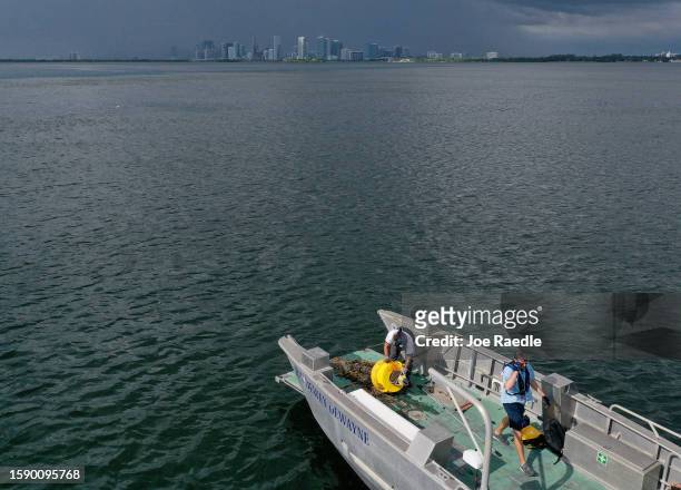 In an aerial view, Nick Evans and Bradley Schonhoff conduct routine maintenance on a research buoy in Biscayne Bay on August 03, 2023 in Miami,...