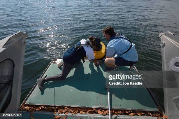 Nick Evans and Bradley Schonhoff conduct routine maintenance on a research buoy in Biscayne Bay on August 03, 2023 in Miami, Florida. Evans is...