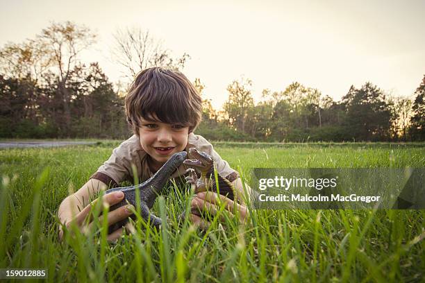 boy playing with dinosaurs - dinosaur toy i stock pictures, royalty-free photos & images