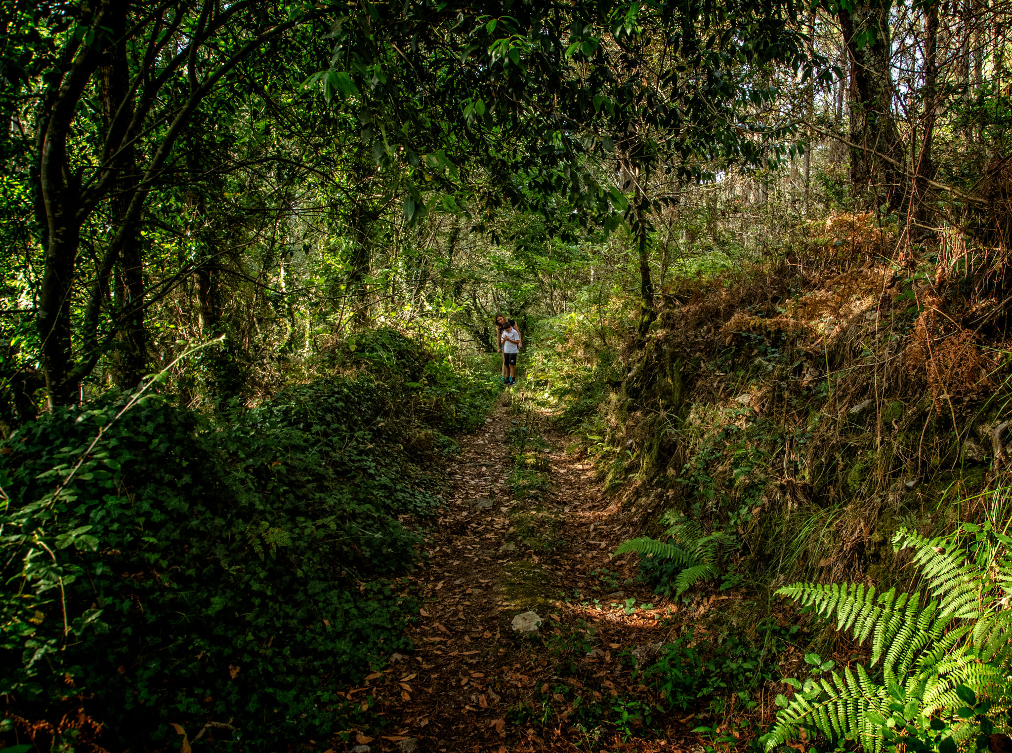 eco tourism spain