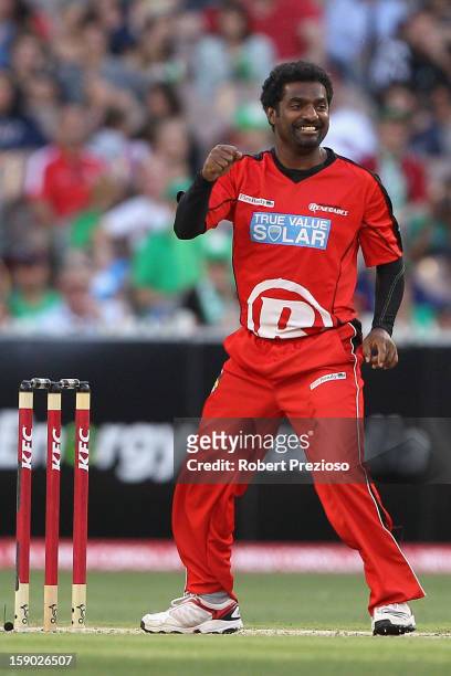 Muttiah Muralitharan of the Renegades celebrates the wicket of Cameron White of the Stars during the Big Bash League match between the Melbourne...