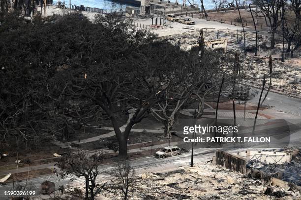 An aerial image shows the historic Banyan tree surrounded by burned cars in Lahaina in the aftermath of wildfires in western Maui in Lahaina, Hawaii,...