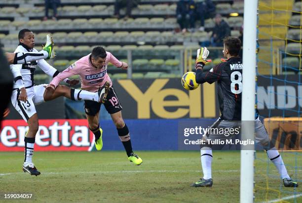 Igor Budan of Palermo scores the equalizing goal during the Serie A match between Parma FC and US Citta di Palermo at Stadio Ennio Tardini on January...