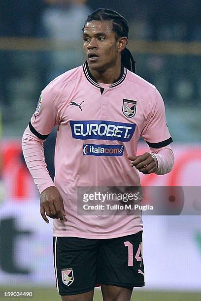 Anselmo de Moraes of Palermo looks on during the Serie A match between Parma FC and US Citta di Palermo at Stadio Ennio Tardini on January 6, 2013 in...