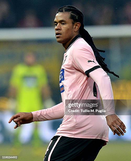 Anselmo de Moraes of Palermo looks on during the Serie A match between Parma FC and US Citta di Palermo at Stadio Ennio Tardini on January 6, 2013 in...