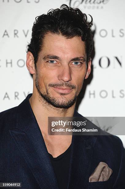 David Gandy attends the launch of 1205 Paula Gerbase Hosted By Harvey Nichols ahead of the London Collections: MEN AW13 at on January 6, 2013 in...