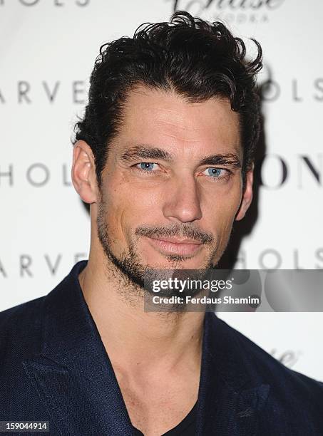 David Gandy attends the launch of 1205 Paula Gerbase Hosted By Harvey Nichols ahead of the London Collections: MEN AW13 at on January 6, 2013 in...