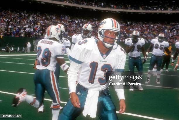 Quarterback Dan Marino of the Miami Dolphins follows the action in the game between the Miami Dolphins vs the New York Jets at The Meadowlands on...