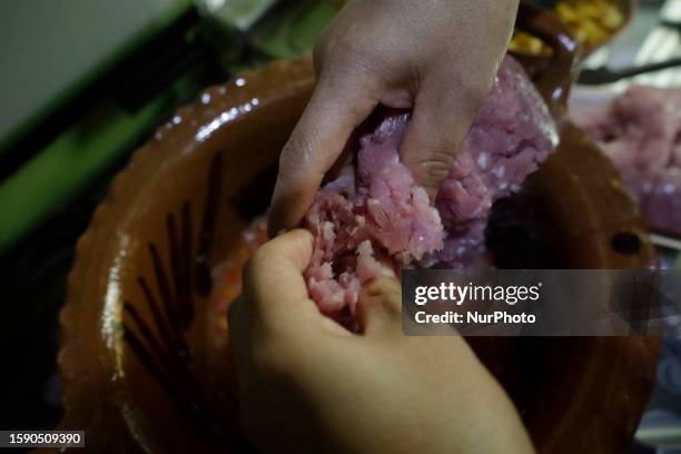 Melina Hernandez Valerio, originally from Tehuacan, Puebla, cuts pork meat to make Chiles en Nogada in Mexico City, on the eve of the national...