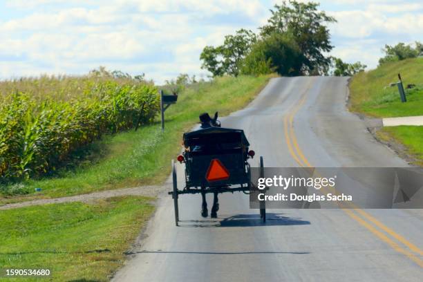 mennonite buggy with a amish driver - horse drawn buggy stock pictures, royalty-free photos & images