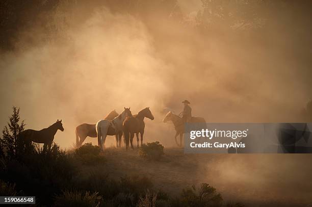 photos du net Cowboy-mener-un-troupeau-de-chevaux-en-d%C3%A9but-de-matin%C3%A9e-sur-le-d%C3%A9sert-de-poussi%C3%A8re-%C3%A0-contre