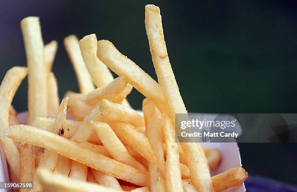 French fries from a fast food outlet is seen on January 7, 2013 in Bristol, England. A government-backed TV advert - made by Aardman, the creators of...