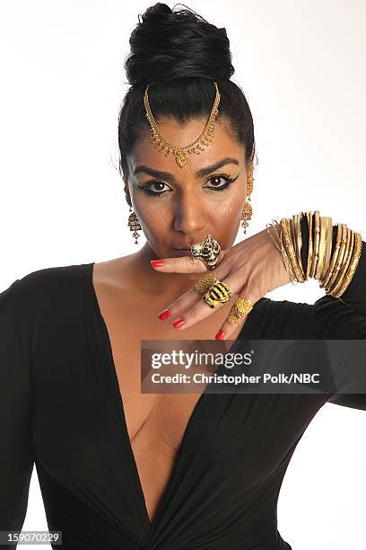 Actress Asa Soltan Rahmati attends the NBCUniversal 2013 TCA Winter Press Tour at The Langham Huntington Hotel and Spa on January 6, 2013 in...