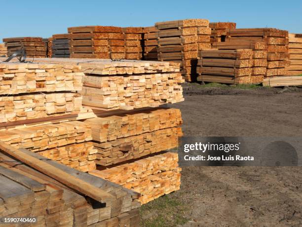 sawmill, cut timber of eucalyptus pine logs - construction material stock pictures, royalty-free photos & images