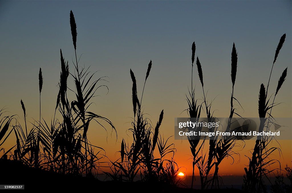 Tuscany Sunset