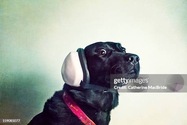 i bet you think i'm listening - loud and funny stock pictures, royalty-free photos & images