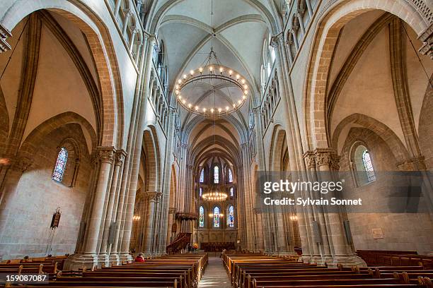 st pierre cathedral in the old town, geneva, - st pierre cathedral geneva stock pictures, royalty-free photos & images