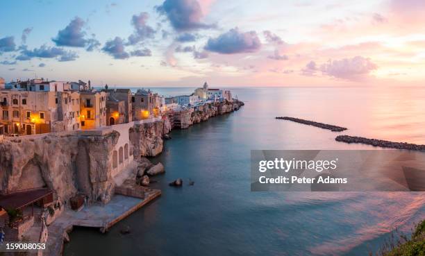 vieste, promontorio del gargano, puglia, italy - italy imagens e fotografias de stock