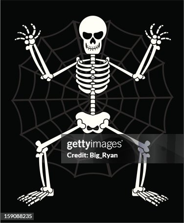 Skeleton Skeleton