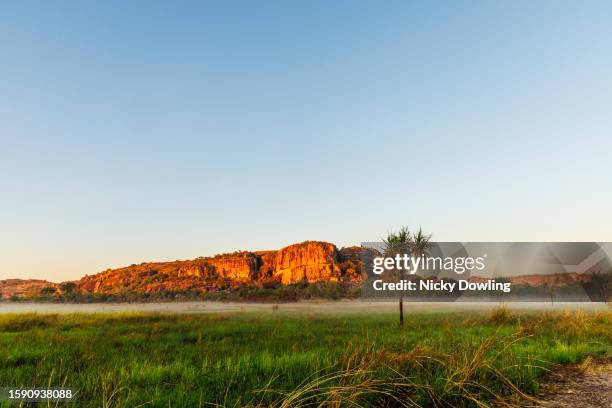 sunrise rock escarpment with palm tree - escarpment stock pictures, royalty-free photos & images