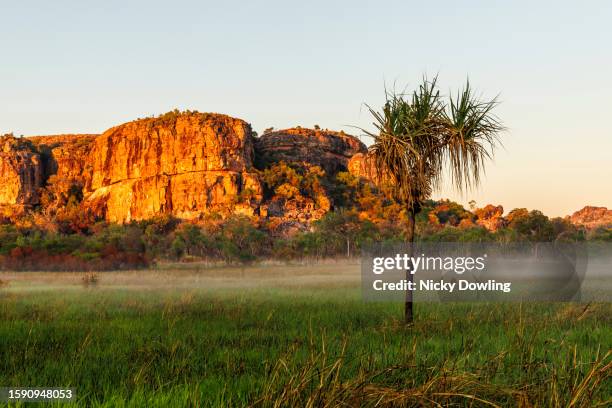 Escarpment Examples 94 Great Escarpment Australia Stock Photos, High-Res Pictures, and ...