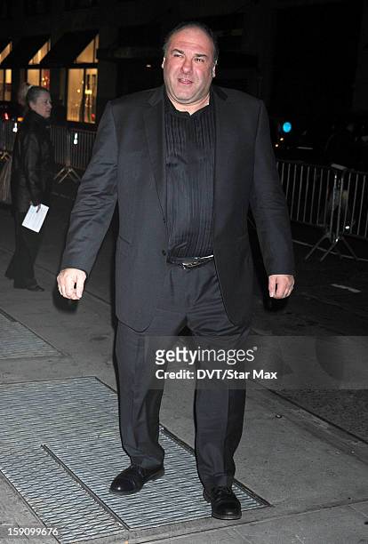 James Gandolfini as seen on January 7, 2013 in New York City.