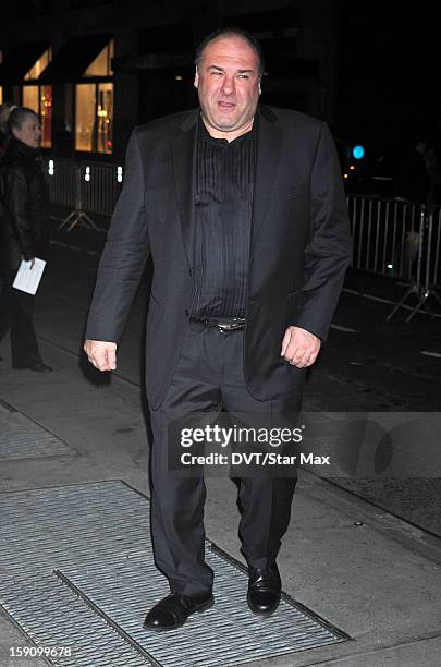 James Gandolfini as seen on January 7, 2013 in New York City.