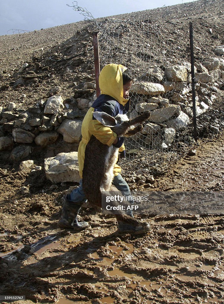 PALESTINIAN-BEDOUIN-WEATHER