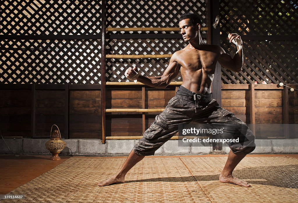 Boxe thaïe