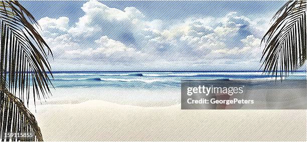 illustrations, cliparts, dessins animés et icônes de plage tropicale et de palmiers - papier gratté
