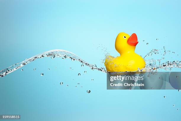 big splash rubber duckie - rubber duck stock pictures, royalty-free photos & images