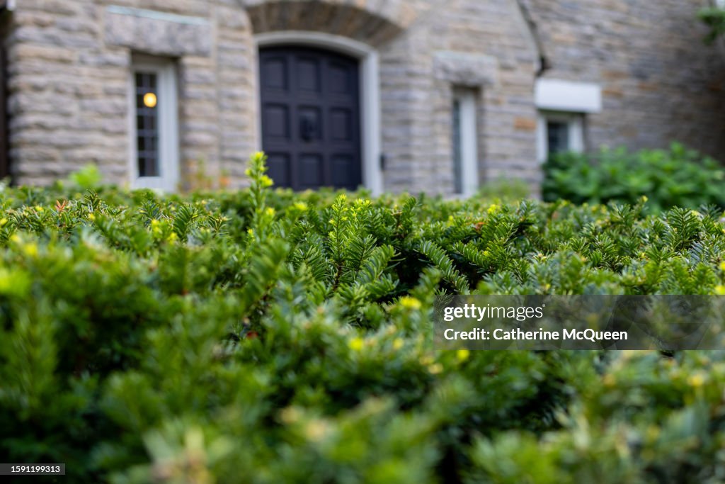 View of front door of stately tudor home