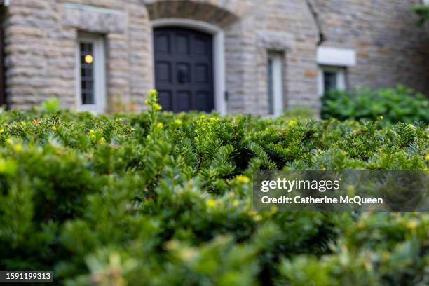 view of front door of stately tudor home - yew tree stock pictures, royalty-free photos & images