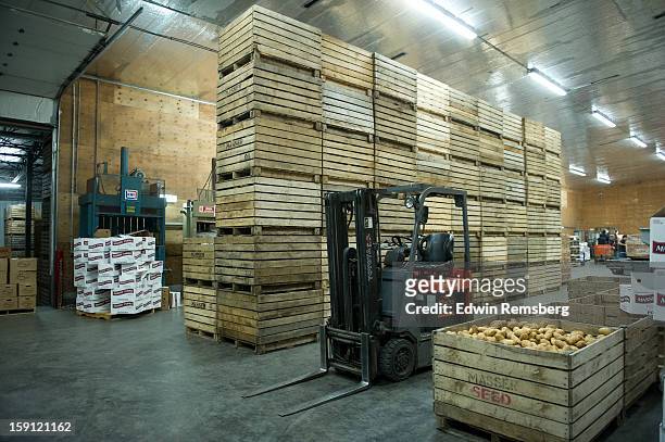 potatoes being processed on potato farm - american potato farm stockfoto's en -beelden