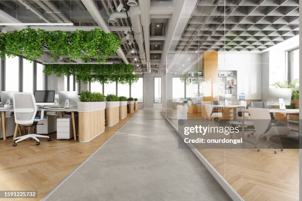 moderner offener büroraum mit tischen, bürostühlen, schlingpflanzen und managerzimmer - ceiling stock-fotos und bilder