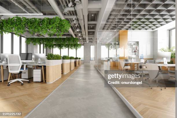 espace de bureau moderne à aire ouverte avec tables, chaises de bureau, plantes grimpantes et salle de gestion - green office room photos et images de collection